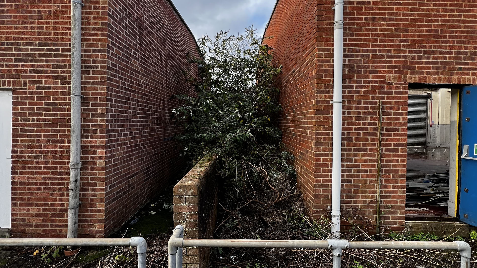 Who Should You Contact First — The Council, a Surveyor, or Your Neighbour Chigwell?